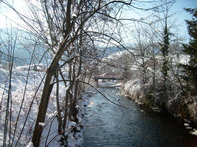 Finken, Gaestezimmer An Der Rench Oppenau Exterior foto